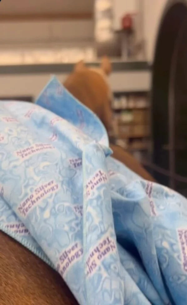 Droogdoek